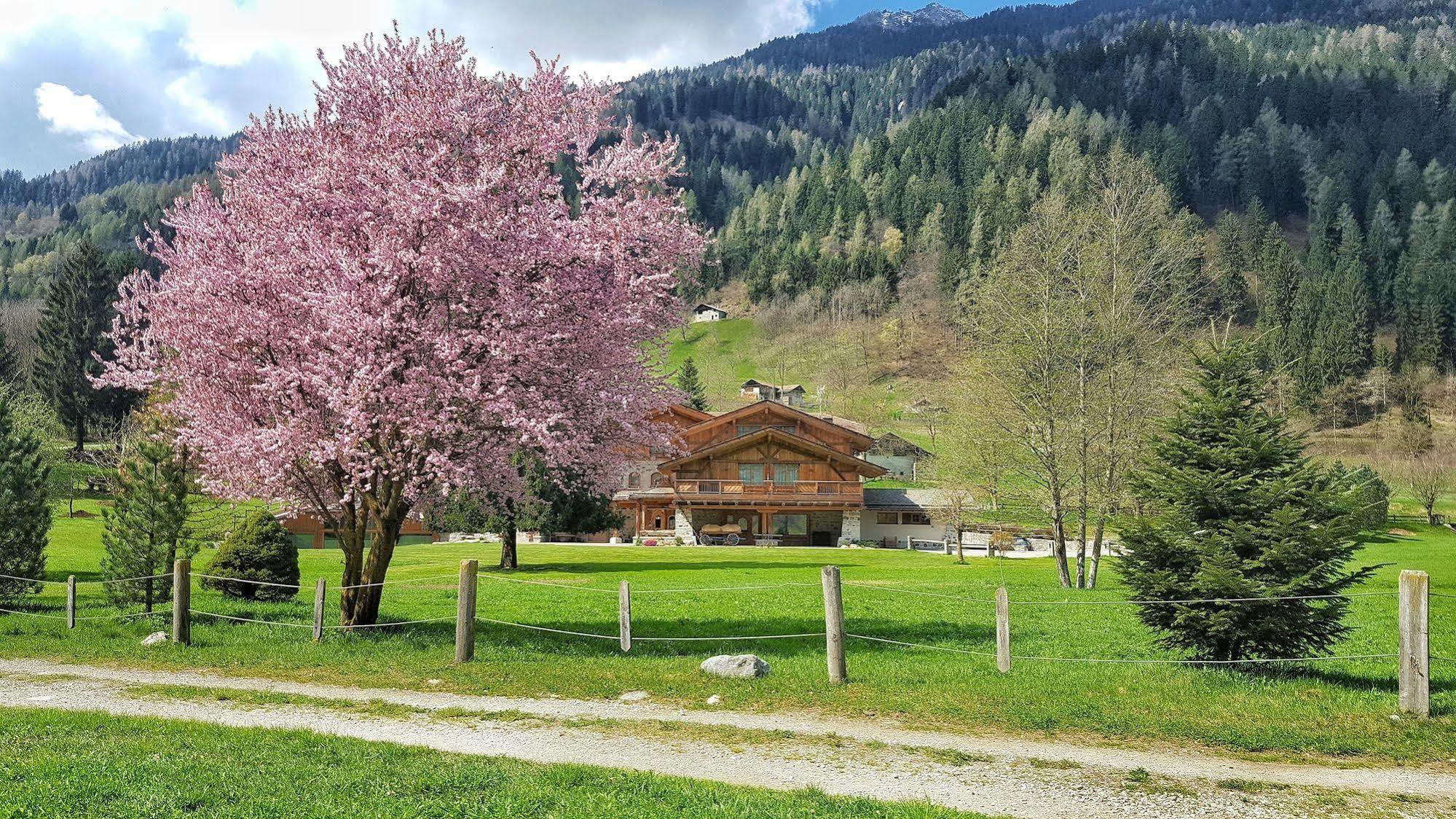 Hotel Maso Del Brenta Кадерцоне Экстерьер фото